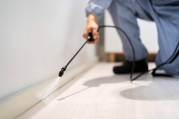 Licensed Fumigation Services service in Stonewood, WV - Nex Pest Control