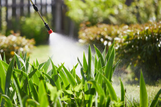 24/7 Emergency Fumigation Services experts in Stonewood, WV