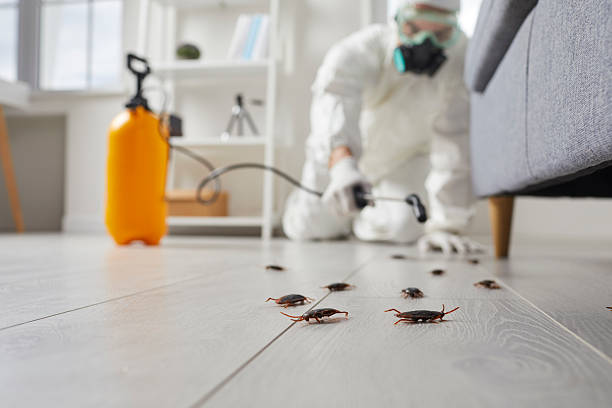 Trusted Fumigation Services service in Stonewood, WV - Nex Pest Control
