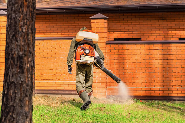 Trusted Ant Control service in Stonewood, WV - Nex Pest Control